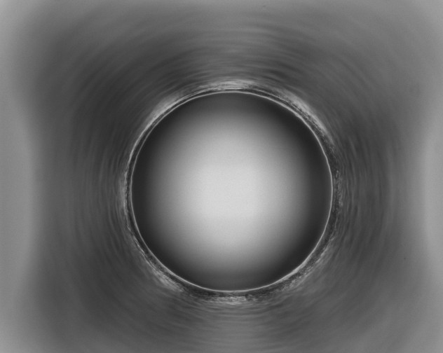 X0000116871186200912291313