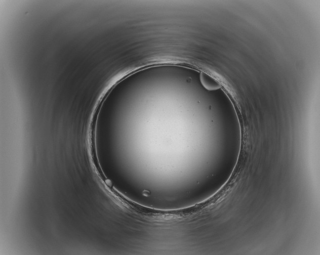 X0000116871187200912291313