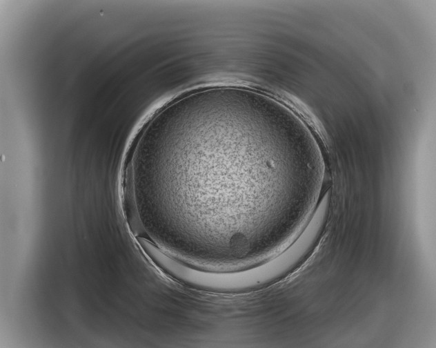 X0000116871188200912291313