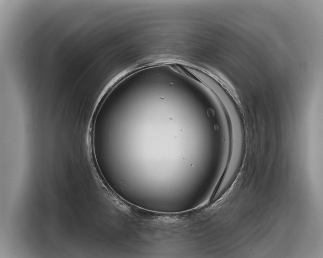 X0000116871190200912291313
