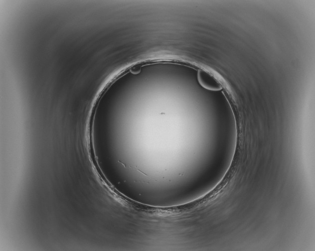 X0000116871191200912291313