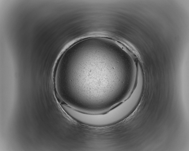 X0000116871192200912291313