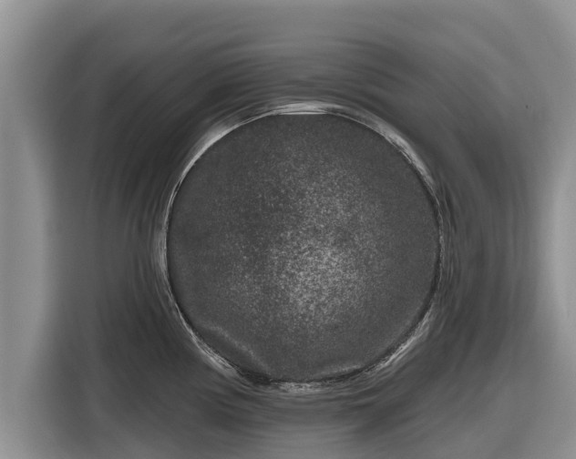 X0000116871194200912291313