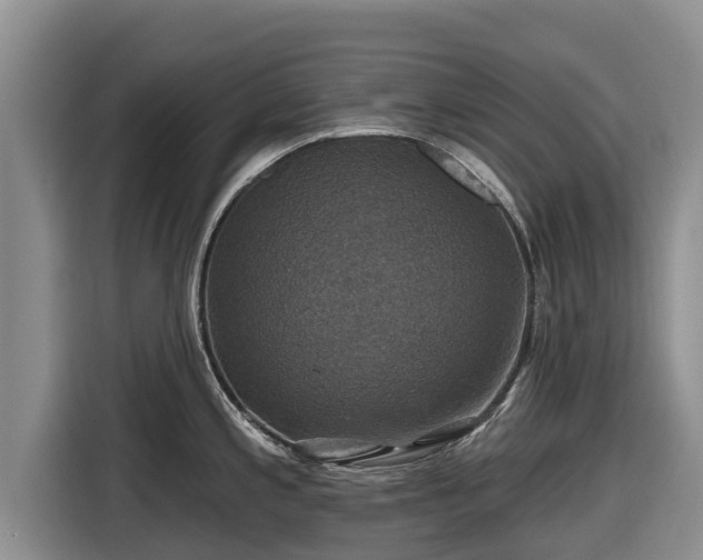 X0000116871197200912291313