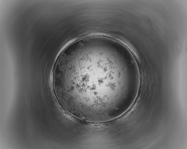 X0000116871198200912291313