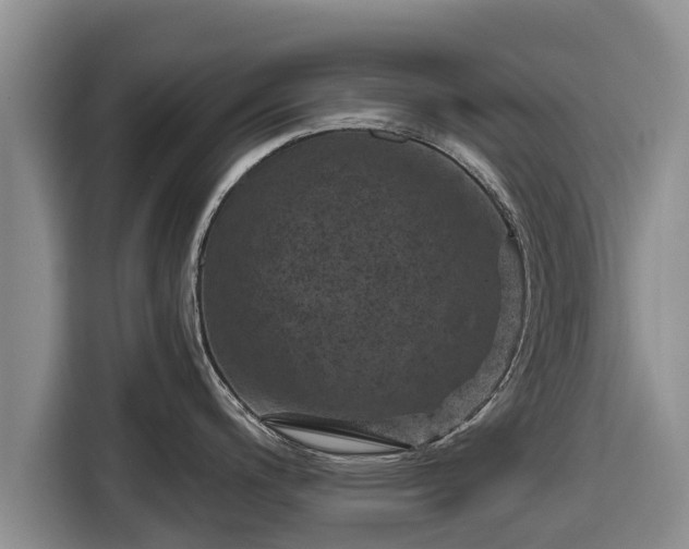 X0000116871200200912291313