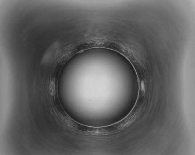 X0000116871203200912291313
