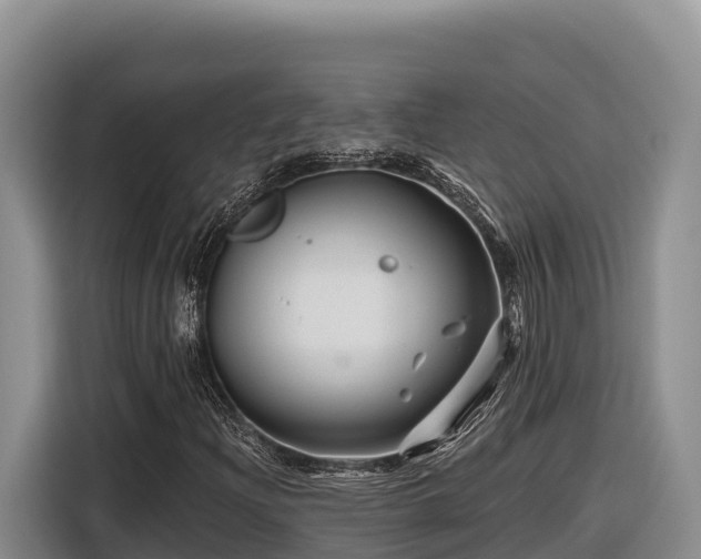 X0000116871204200912291313