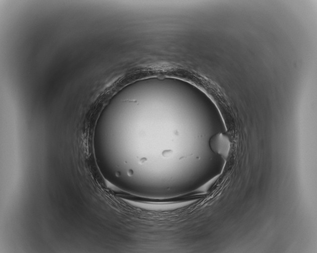 X0000116871205200912291313