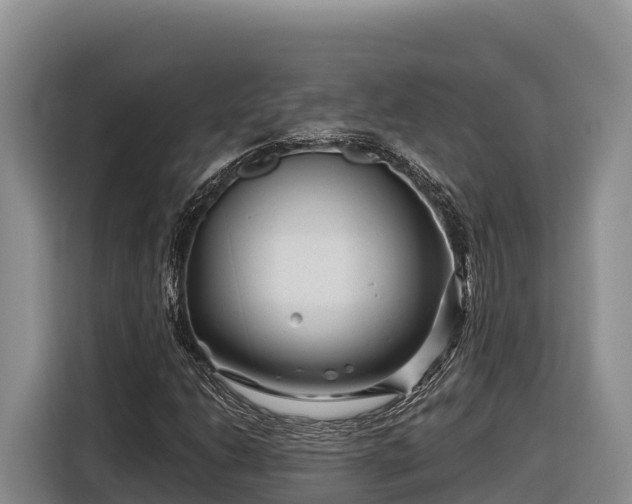X0000116871206200912291313