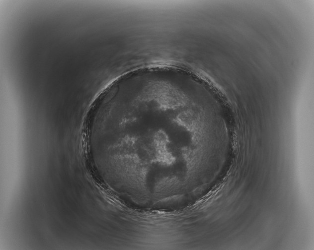 X0000116871208200912291313