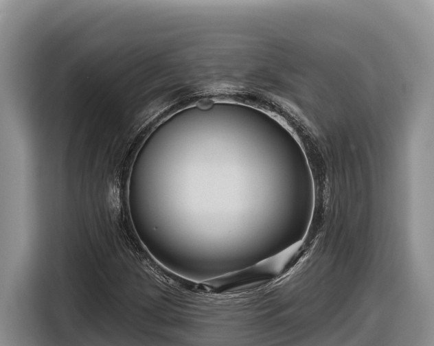 X0000116871209200912291313