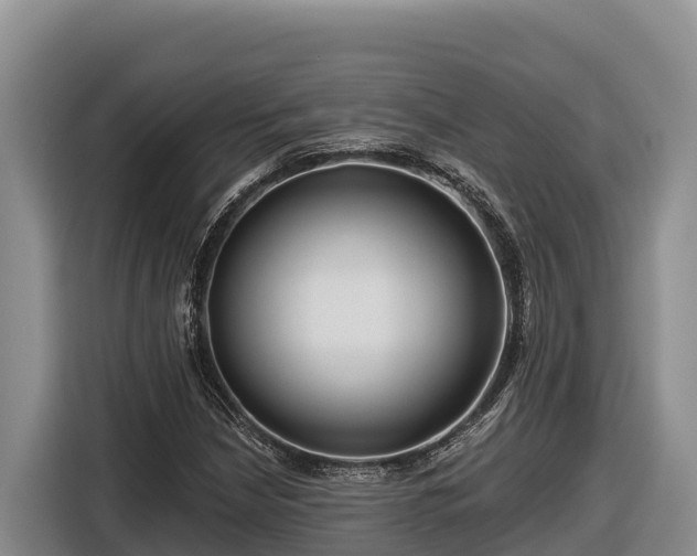 X0000116871210200912291313