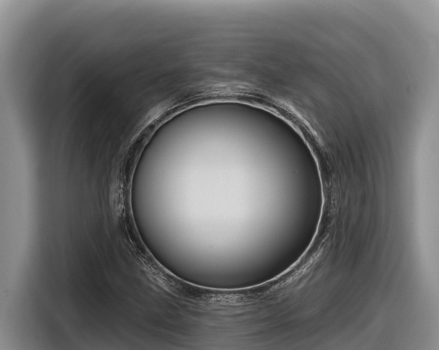 X0000116871211200912291313