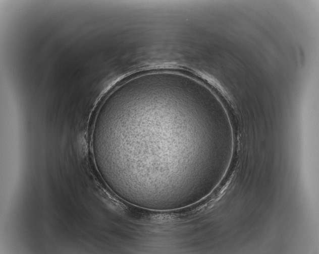 X0000116871212200912291313