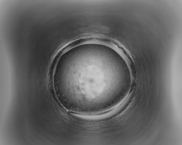 X0000116871215200912291313