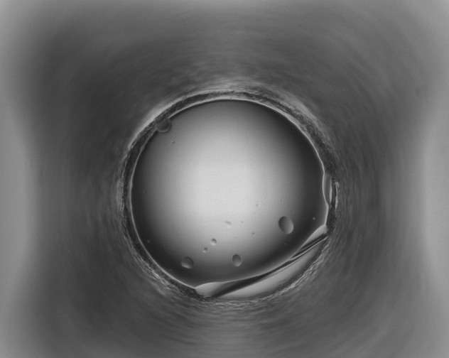 X0000116871216200912291313