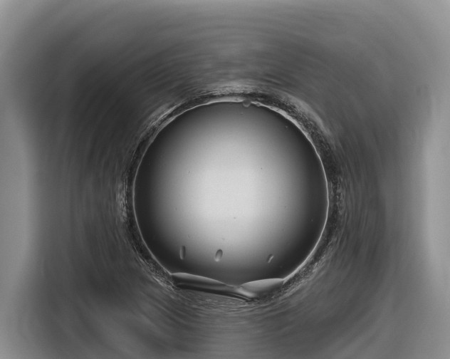 X0000116871217200912291313