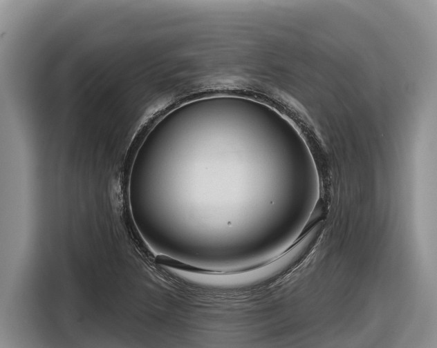 X0000116871218200912291313