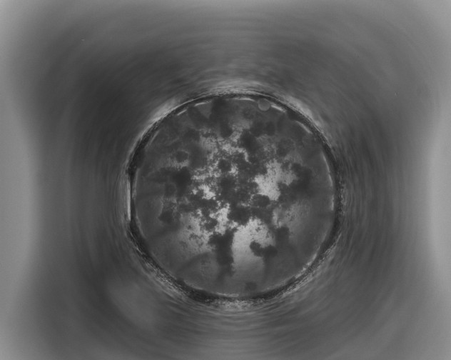 X0000116871219200912291313