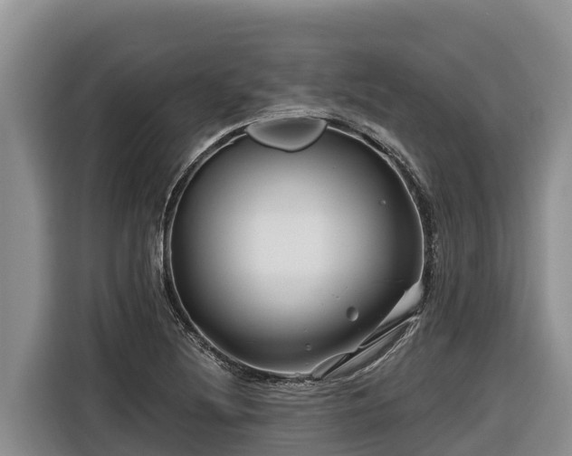 X0000116871220200912291313