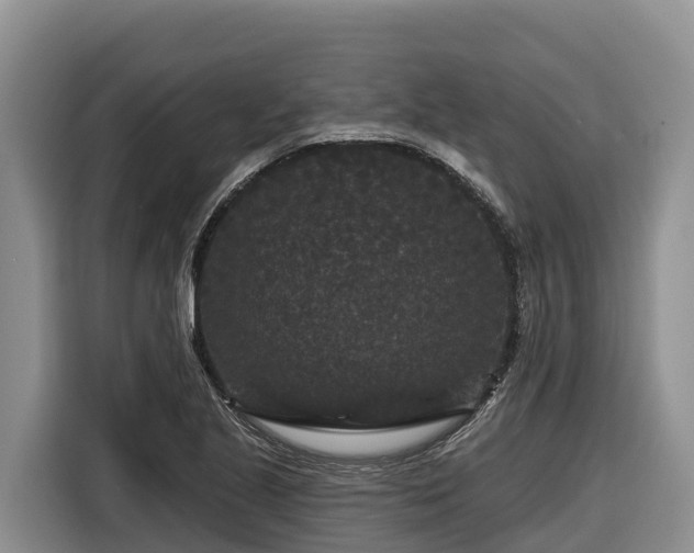 X0000116871221200912291313
