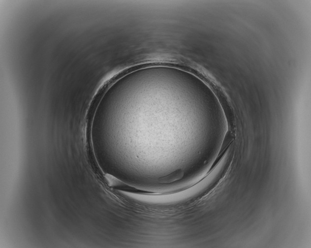 X0000116871222200912291313