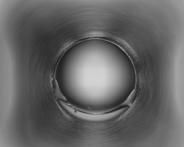 X0000116871225200912291313