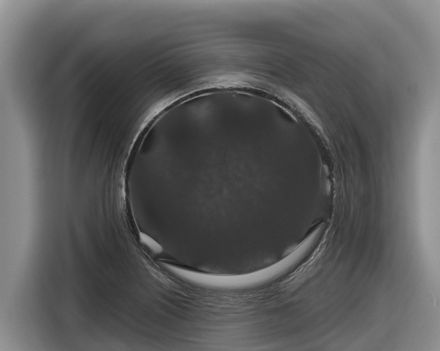 X0000116871226200912291313