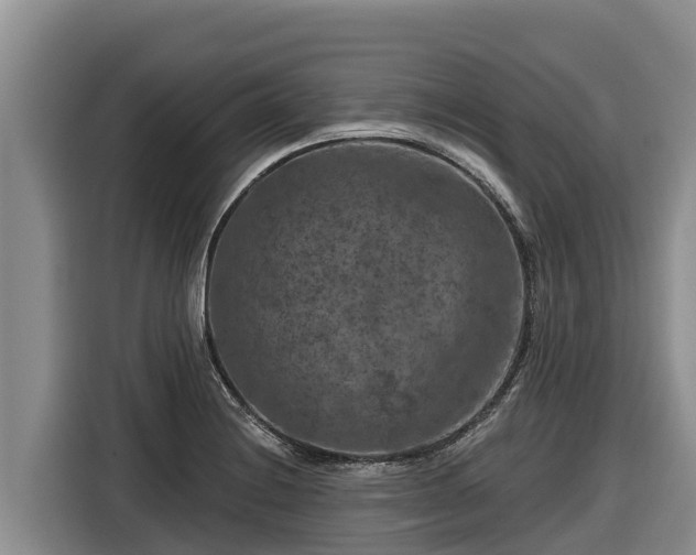 X0000116871228200912291313