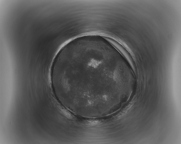 X0000116871230200912291313