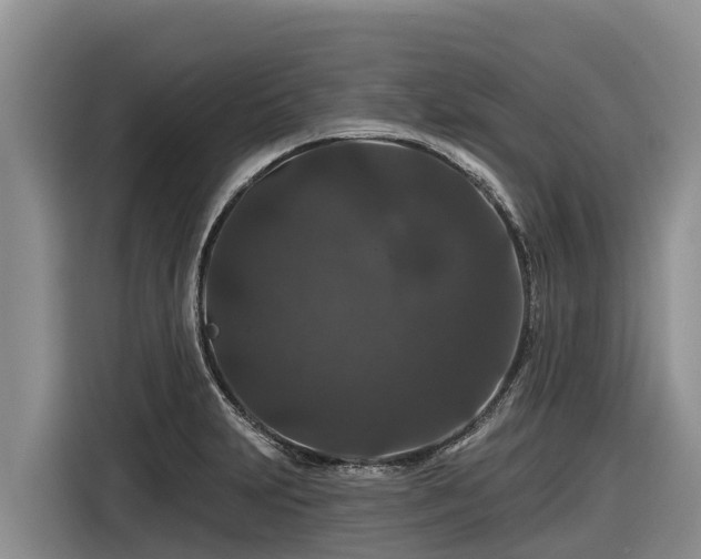 X0000116871231200912291313