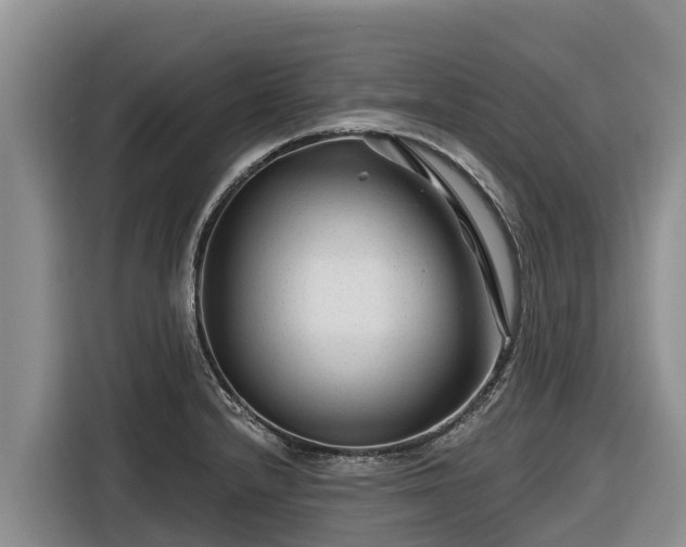 X0000116871232200912291313