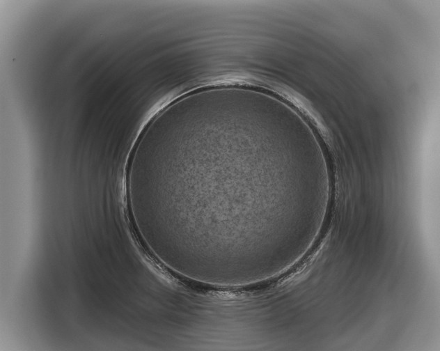 X0000116871234200912291313