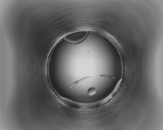 X0000116871236200912291313