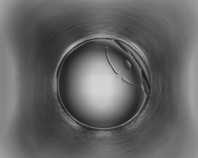 X0000116871238200912291313