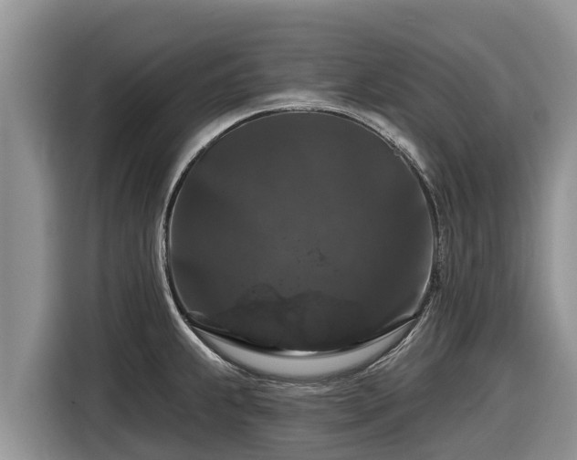 X0000116871239200912291313