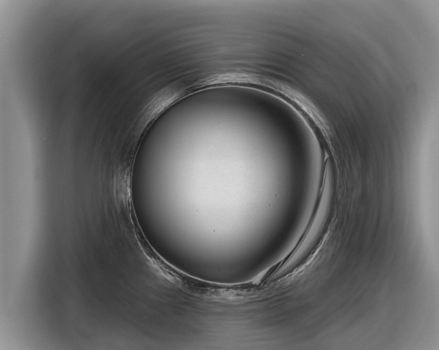 X0000116871241200912291313