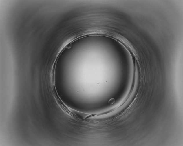 X0000116871242200912291313