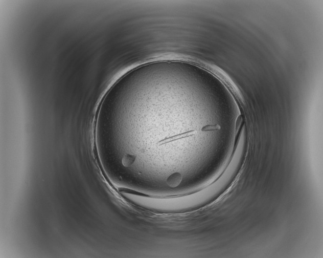 X0000116871244200912291313