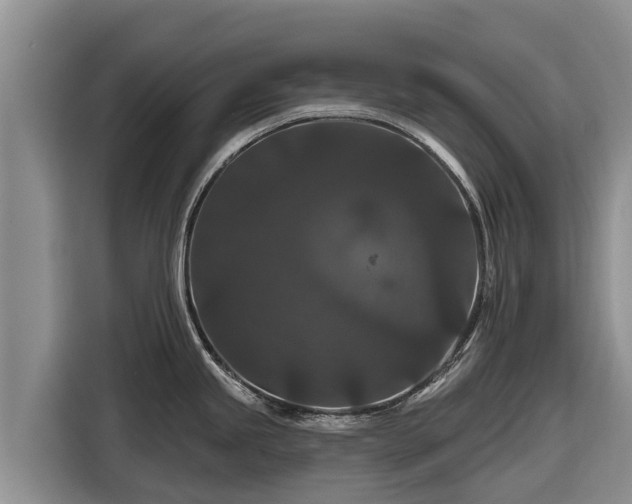 X0000116871245200912291313