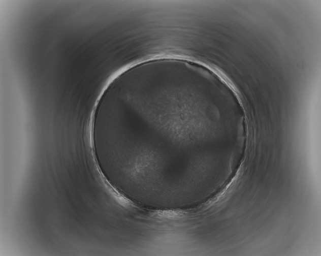 X0000116871246200912291313