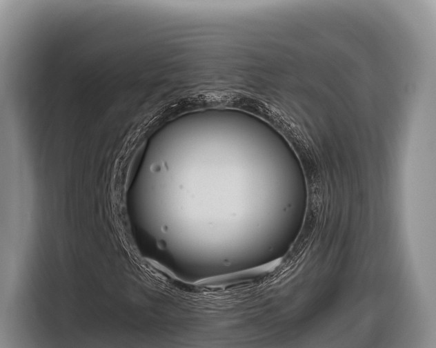 X0000116871249200912291313