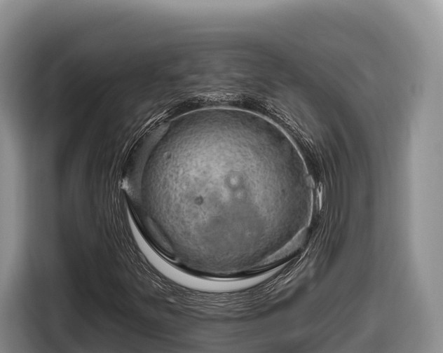 X0000116871251200912291313