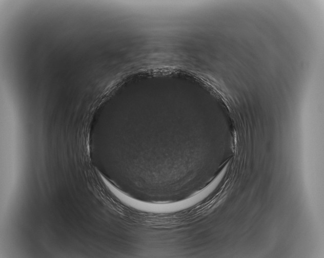 X0000116871252200912291313