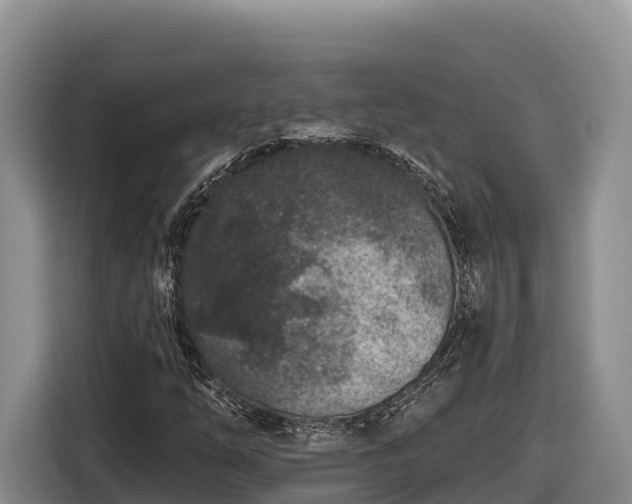 X0000116871254200912291313