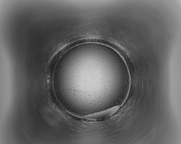 X0000116871255200912291313