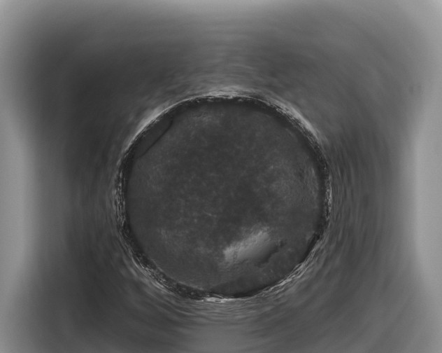 X0000116871256200912291312