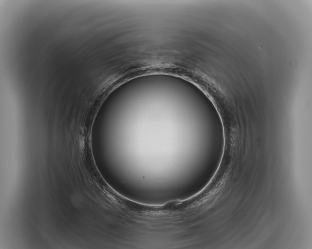 X0000116871257200912291312