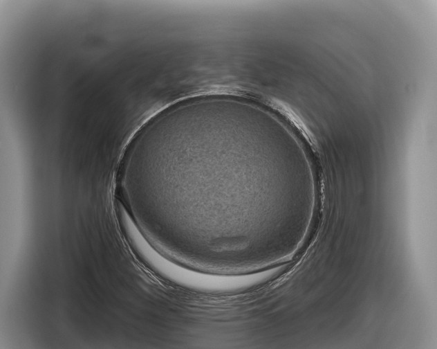 X0000116871260200912291312